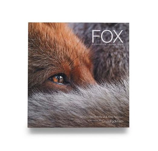 Fox: Neighbour Villain Icon