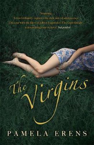 Cover image for The Virgins