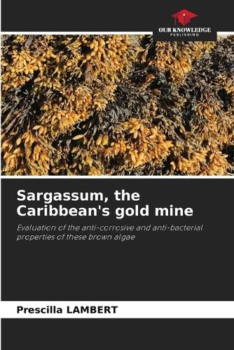 Cover image for Sargassum, the Caribbean's gold mine