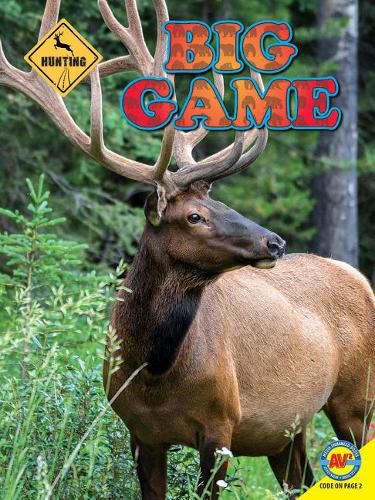 Cover image for Big Game