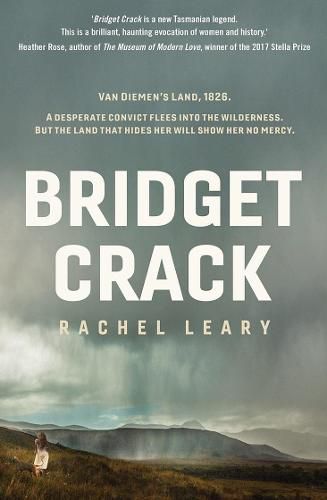 Cover image for Bridget Crack