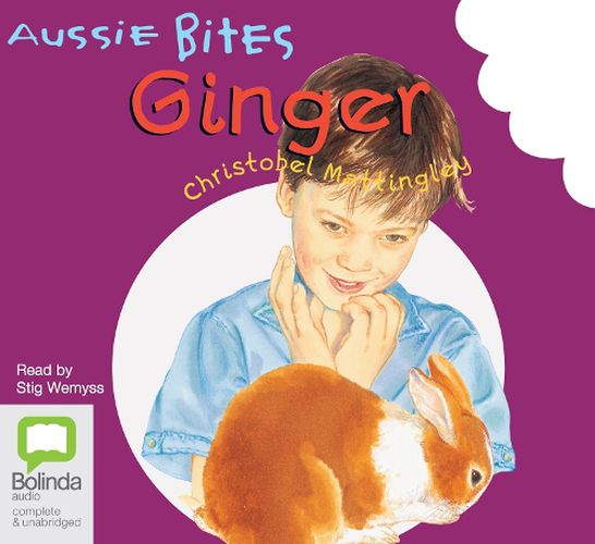Cover image for Ginger