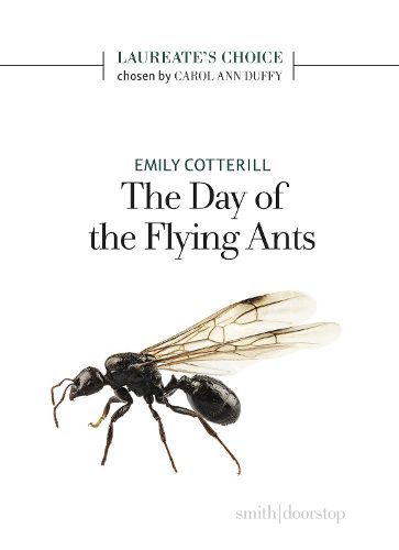 Cover image for The Day of the Flying Ants