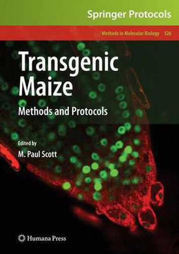 Cover image for Transgenic Maize: Methods and Protocols