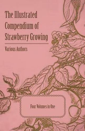 Cover image for The Illustrated Compendium of Strawberry Growing - Four Volumes in One