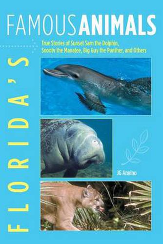 Cover image for Florida's Famous Animals: True Stories Of Sunset Sam The Dolphin, Snooty The Manatee, Big Guy The Panther, And Others