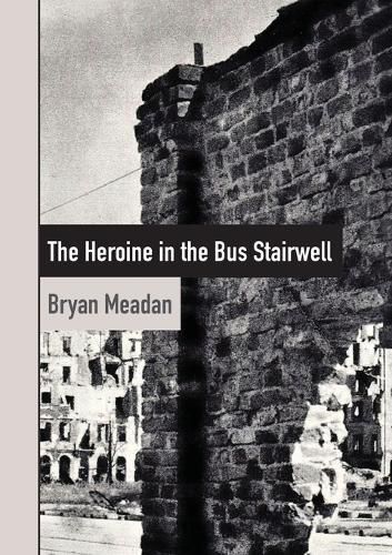 Cover image for The Heroine in the Bus Stairwell