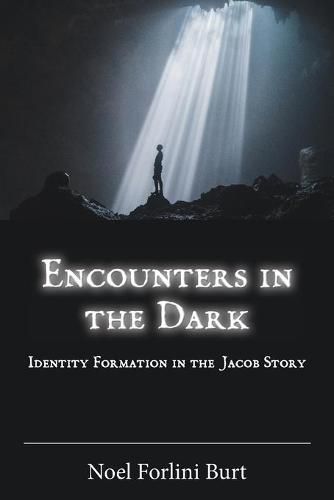 Cover image for Encounters in the Dark: Identity Formation in the Jacob Story