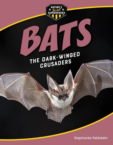 Cover image for Bats