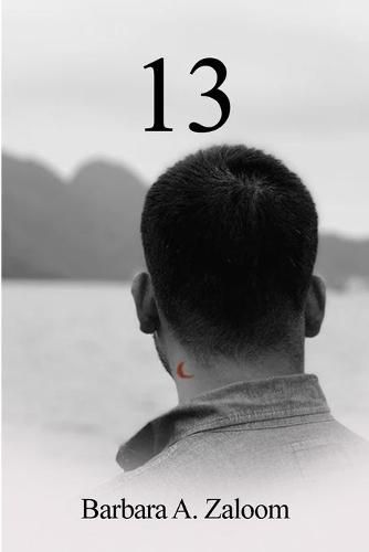 Cover image for 13