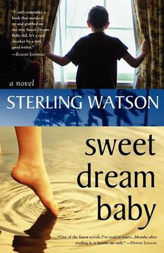 Cover image for Sweet Dream Baby