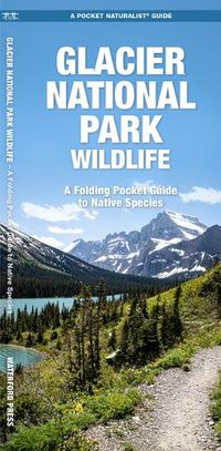 Cover image for Glacier National Park Wildlife