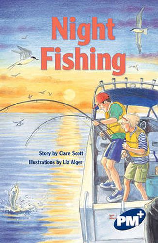 Cover image for Night Fishing
