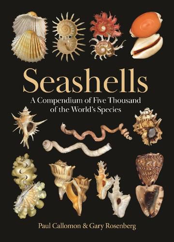 Cover image for Seashells