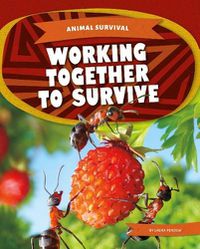 Cover image for Animal Survival: Working Together to Survive