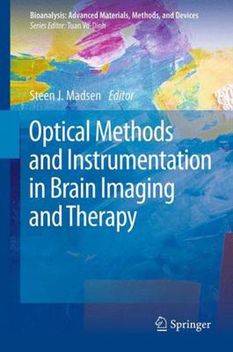 Cover image for Optical Methods and Instrumentation in Brain Imaging and Therapy