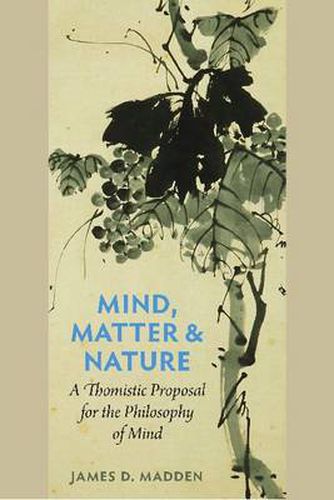 Cover image for Mind, Matter and Nature: A Thomistic Proposal for the Philosophy of Mind
