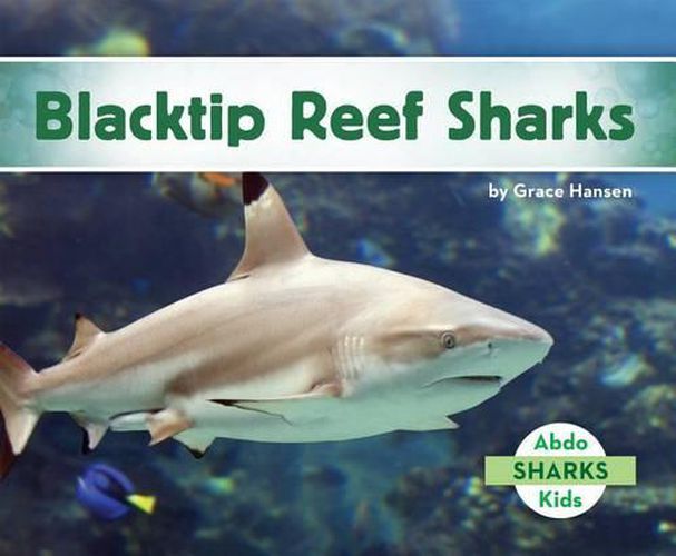 Cover image for Blacktip Reef Sharks