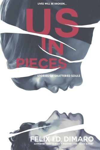 Cover image for Us in Pieces