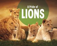 Cover image for A Pride of Lions