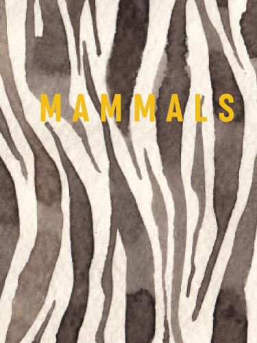 Cover image for Mammals