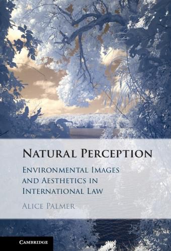 Cover image for Natural Perception