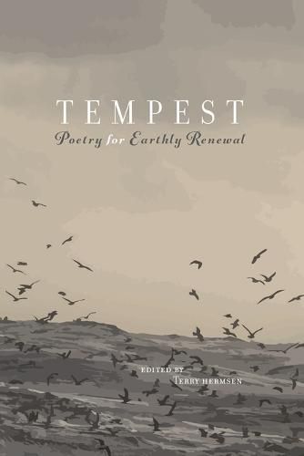 Cover image for Tempest