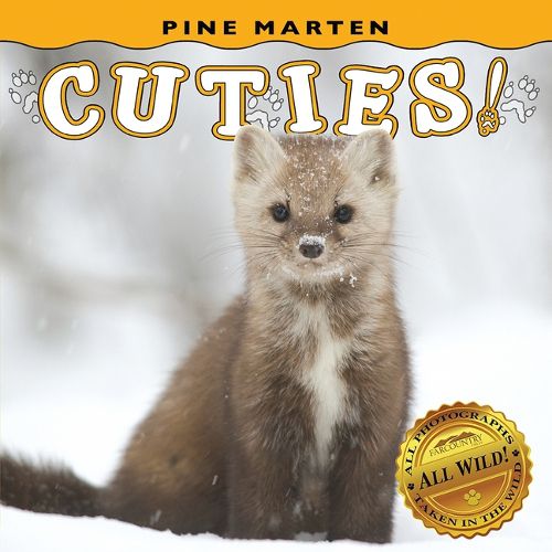 Cover image for Pine Marten Cuties!