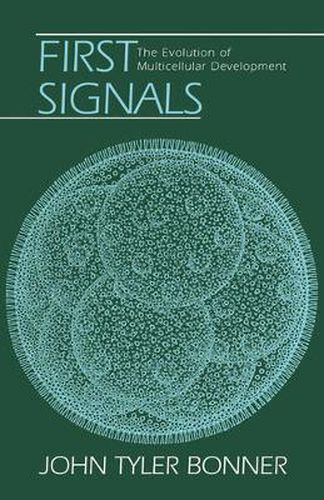 Cover image for First Signals: The Evolution of Multicellular Development