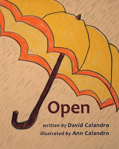 Cover image for Open