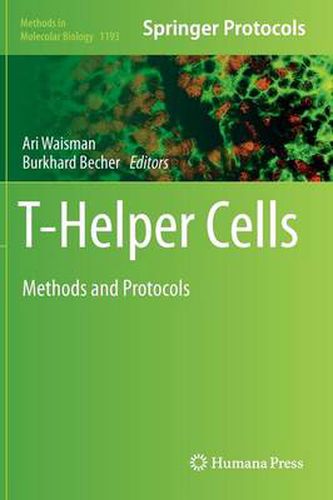 Cover image for T-Helper Cells: Methods and Protocols