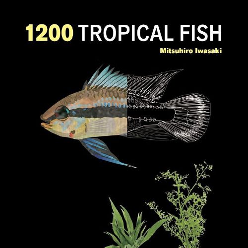 Cover image for 1200 Tropical Fish: An Illustrated Guide to 1200 Fish Species from Around the World