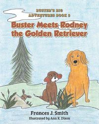 Cover image for Buster Meets Rodney the Golden Retriever