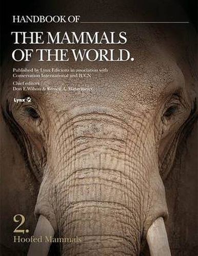 Cover image for Handbook of the Mammals of the World: Hoofed Mammals