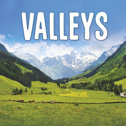 Cover image for Valleys