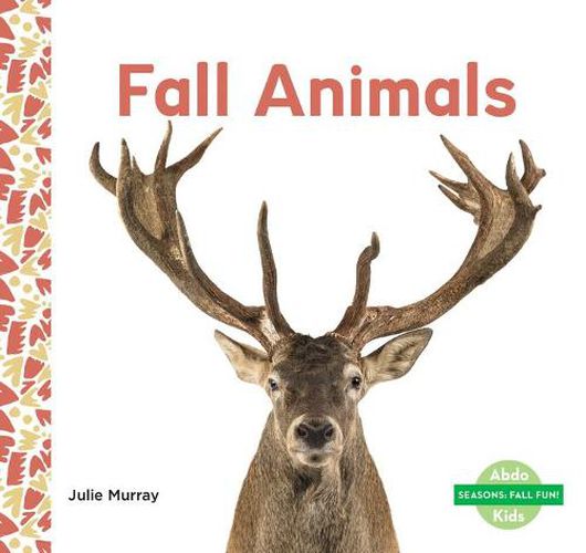 Cover image for Fall Animals