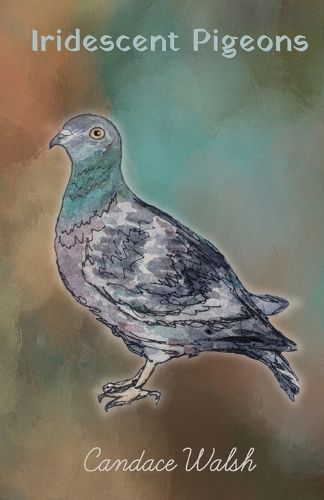 Cover image for Iridescent Pigeons