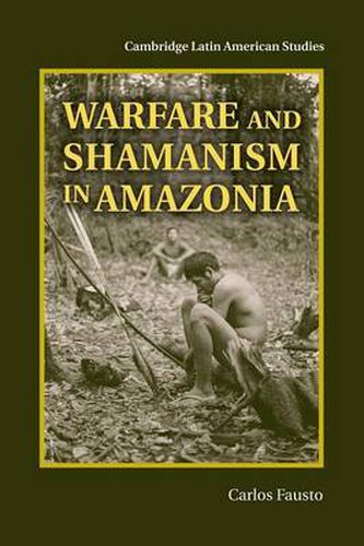 Cover image for Warfare and Shamanism in Amazonia