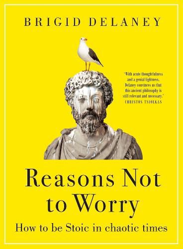 Cover image for Reasons Not to Worry