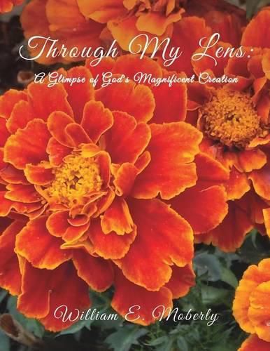 Cover image for Through My Lens: A Glimpse of God's Magnificent Creation