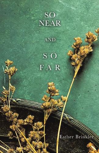 Cover image for So Near and So Far