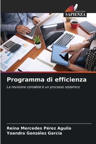 Cover image for Programma di efficienza