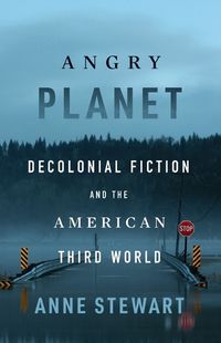 Cover image for Angry Planet: Decolonial Fiction and the American Third World