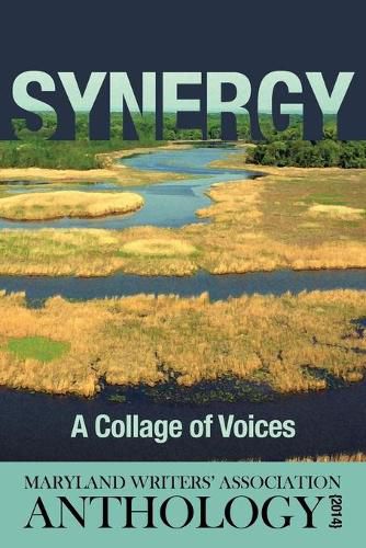 Cover image for Synergy: A Collage of Voices Anthology 2014
