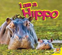 Cover image for Hippopotamus