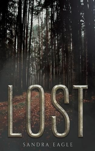 Cover image for Lost