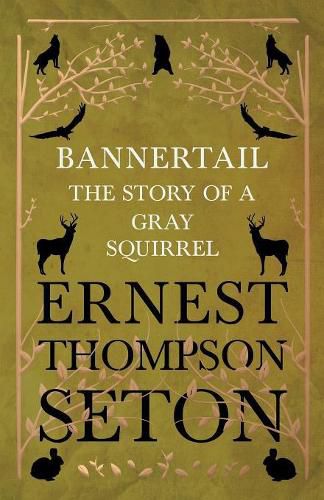 Cover image for Bannertail - The Story of a Gray Squirrel