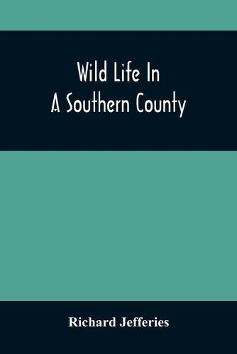 Cover image for Wild Life In A Southern County