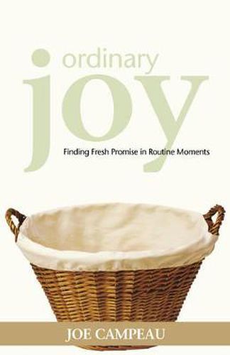 Cover image for Ordinary Joy: Finding Fresh Promise in Routine Moments