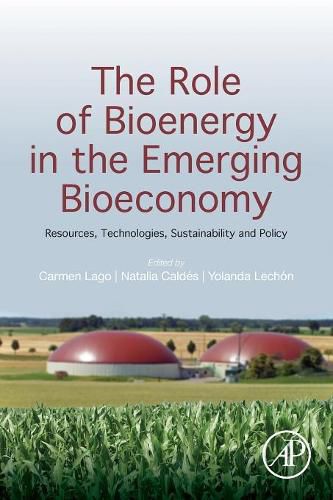 Cover image for The Role of Bioenergy in the Emerging Bioeconomy: Resources, Technologies, Sustainability and Policy